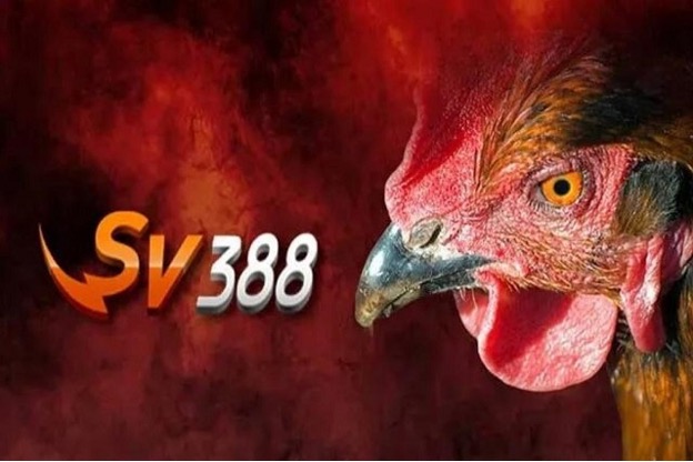 Sv388 - Trang nhà cái cá cược trực tuyến số 1 và lâu đời tại Việt Nam